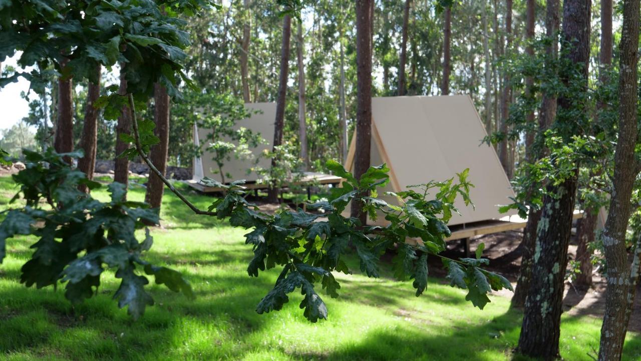 فندق Amaraxe Ecoglamping Minortos المظهر الخارجي الصورة